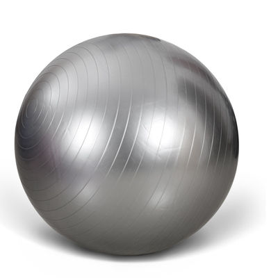 55cm Workout Yoga Ball Anti Burst Gym Ball