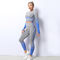Round Neckline 85% Nylon Seamless Yoga Sets Gradient Blue Tie Dye Workout Set
